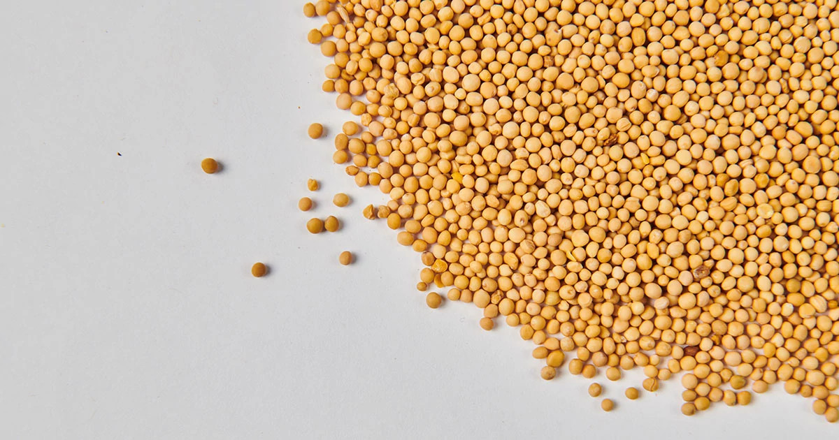 Mustard Seeds Poured Onto a Marble Counter