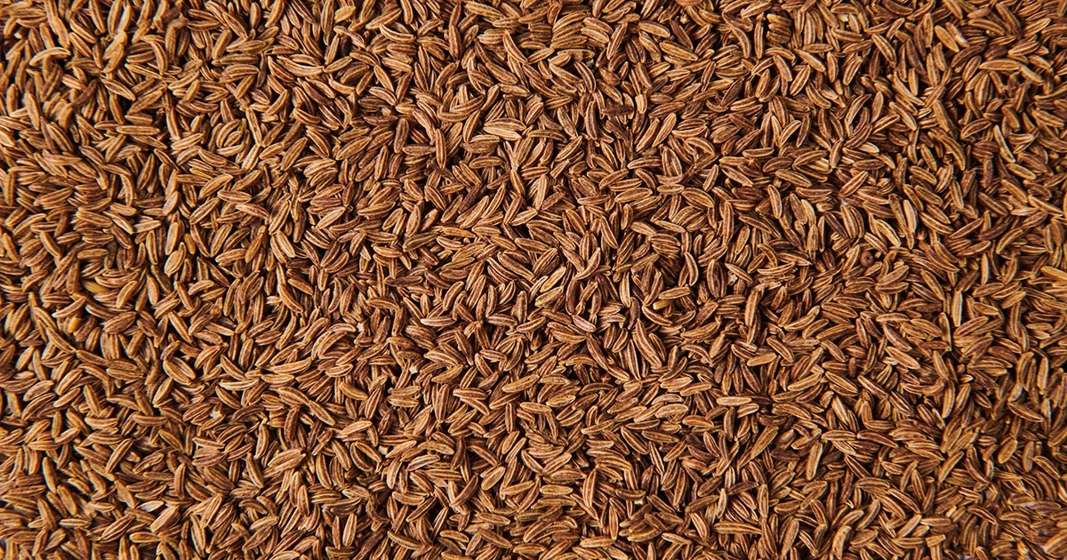 Caraway Seeds