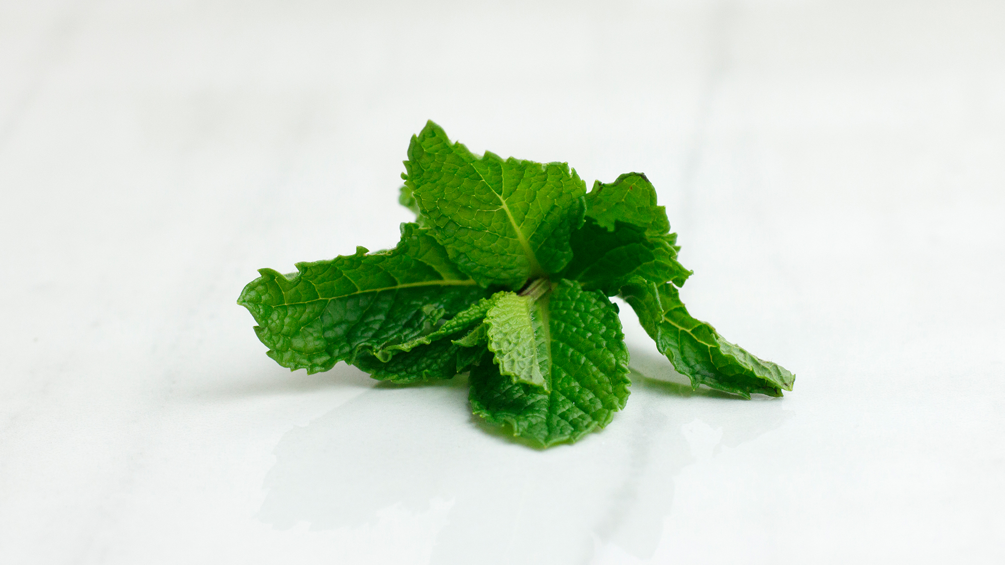About Mint Uses, Pairings and Recipes