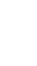 snowflake4.png