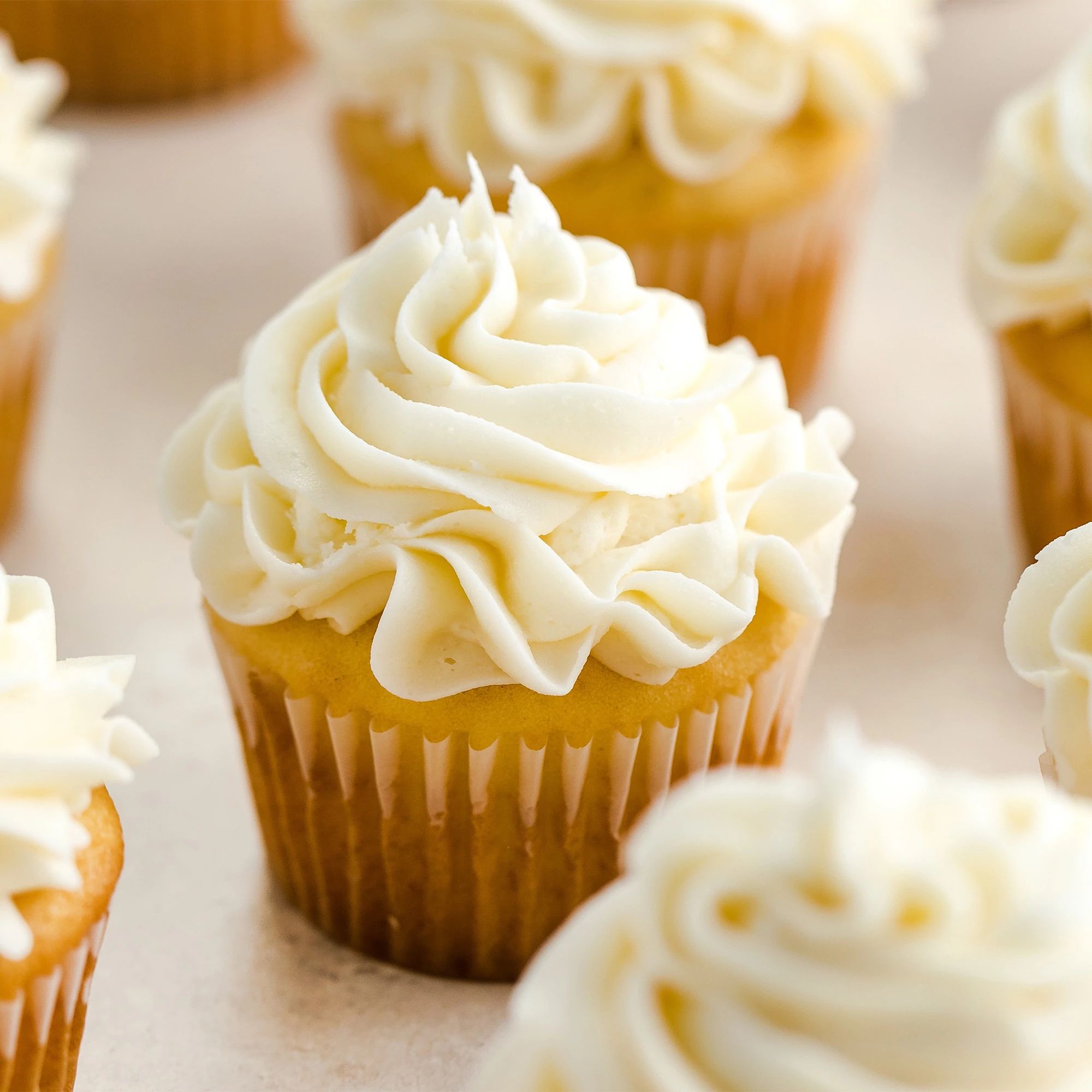 Vanilla Cupcakes