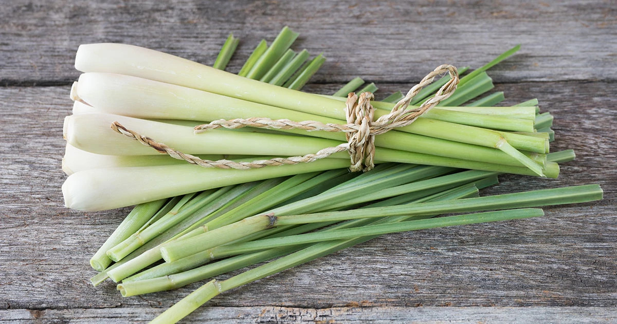 lemon_grass_article_1200x630