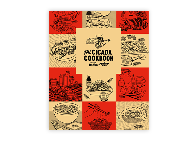 cicada digital cookbook cover cicada digital cookbook cover